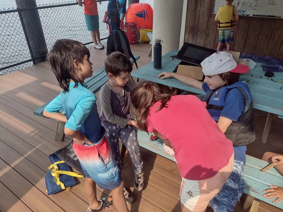 Edgewood Sailing School: Telemetry Workshop