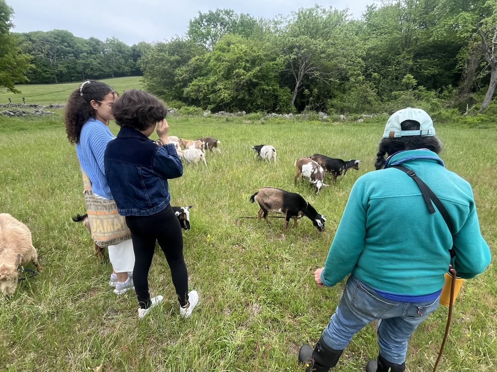 Meetup with Goodwin Hill Goats