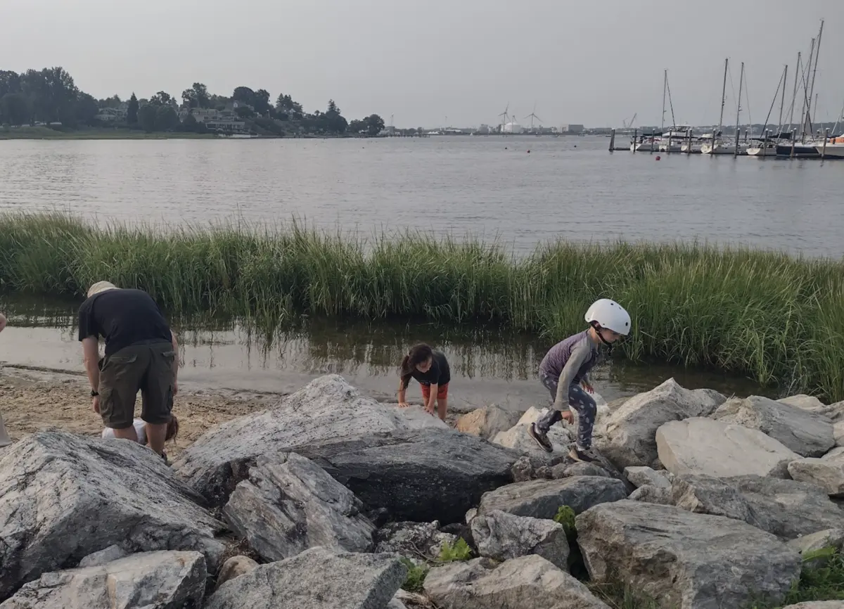 Field exploration at the beach